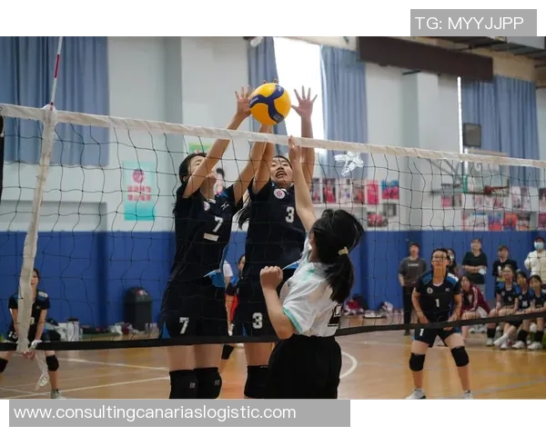 西安排球队在邀请赛中的配合表现分析与点评