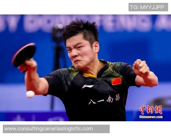 专业解读：武汉乒乓球队的防反打法_1